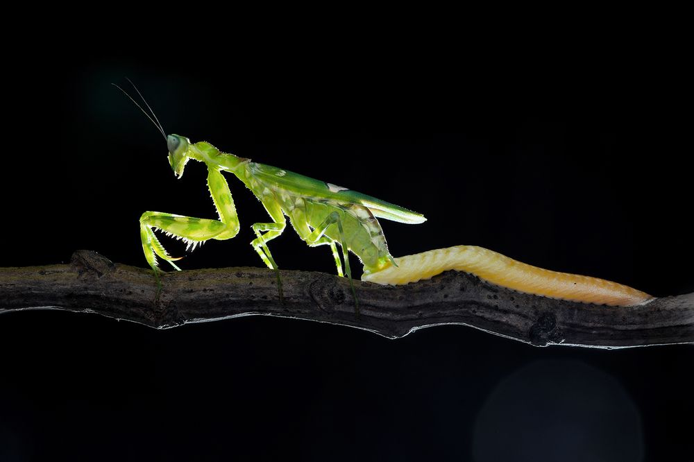 Moment of life and death