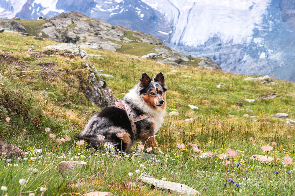 Photograph by Sarah Göhler