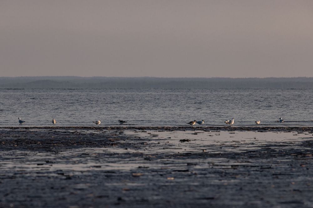 Фотография автора Ирина Гриценко