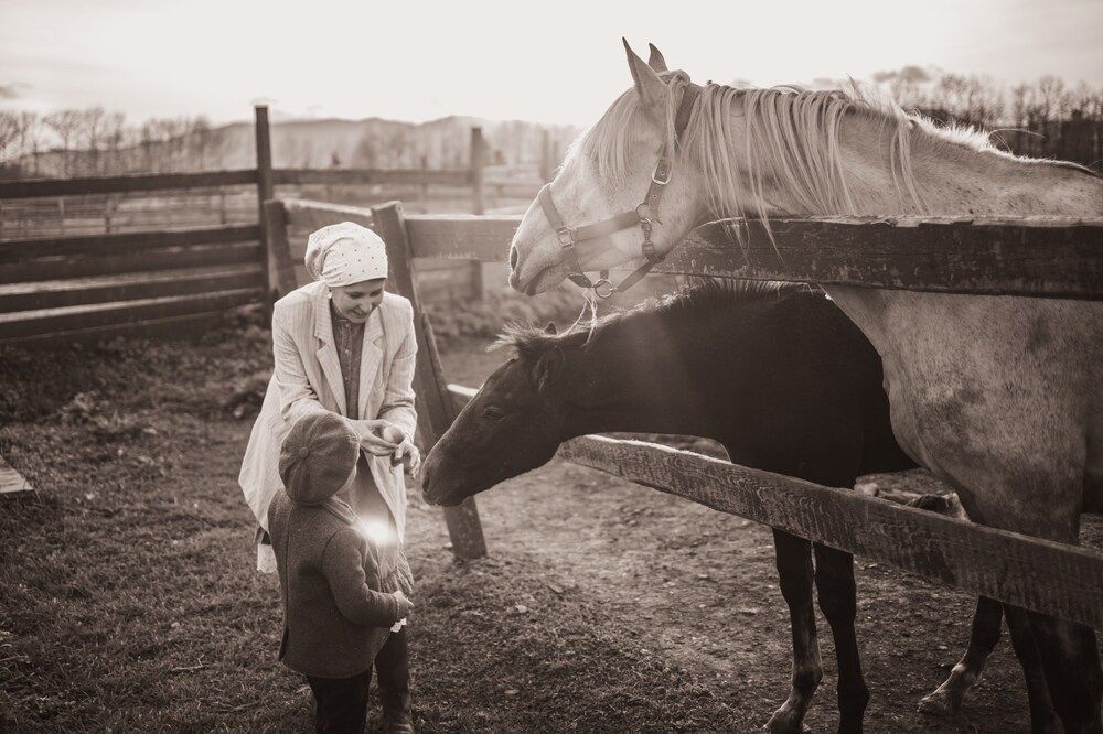 Photograph by Инга