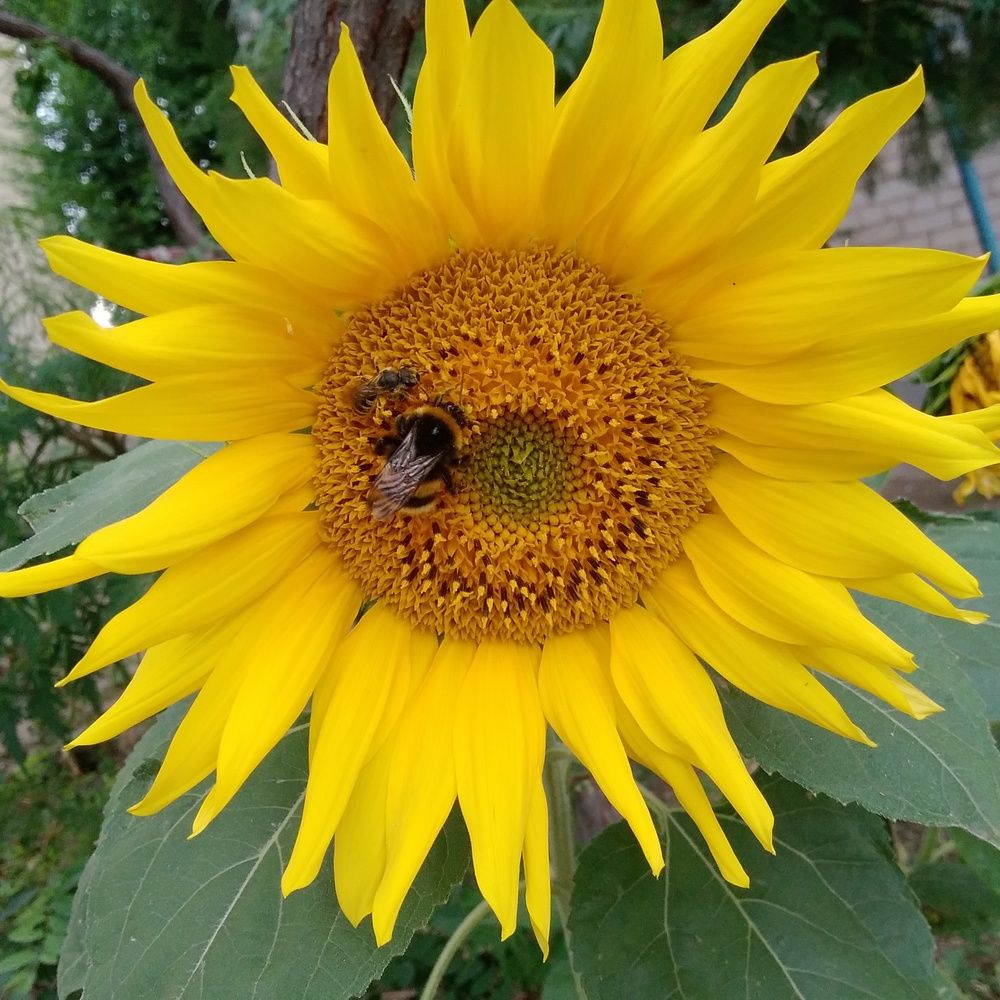 Photograph by Васильева Львовна