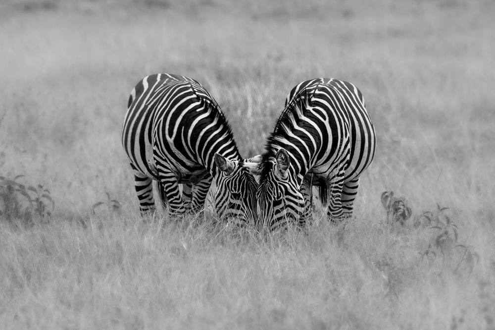 Photograph by Nikolay Slutskiy