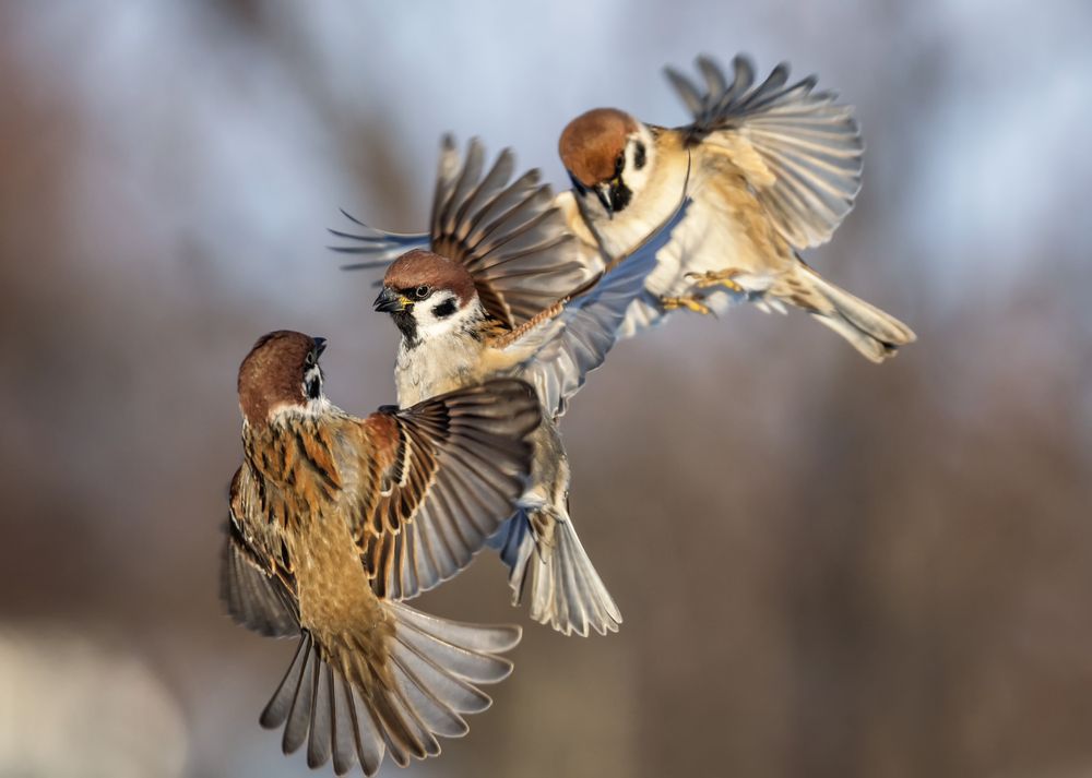 Photograph by Наталья