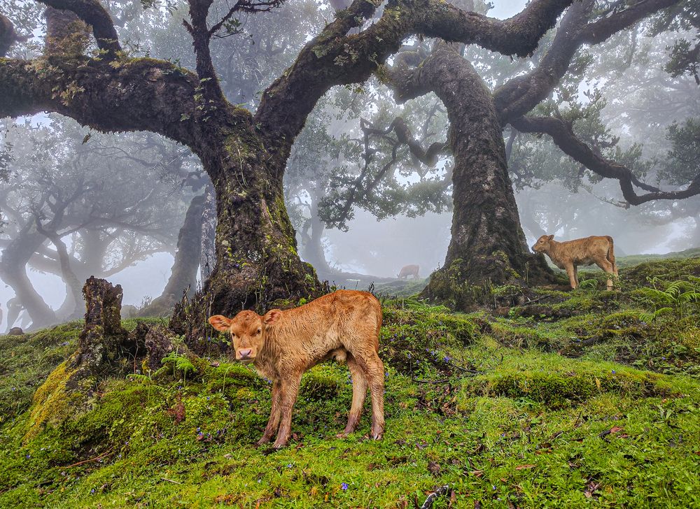 Photograph by Ivars Andrups