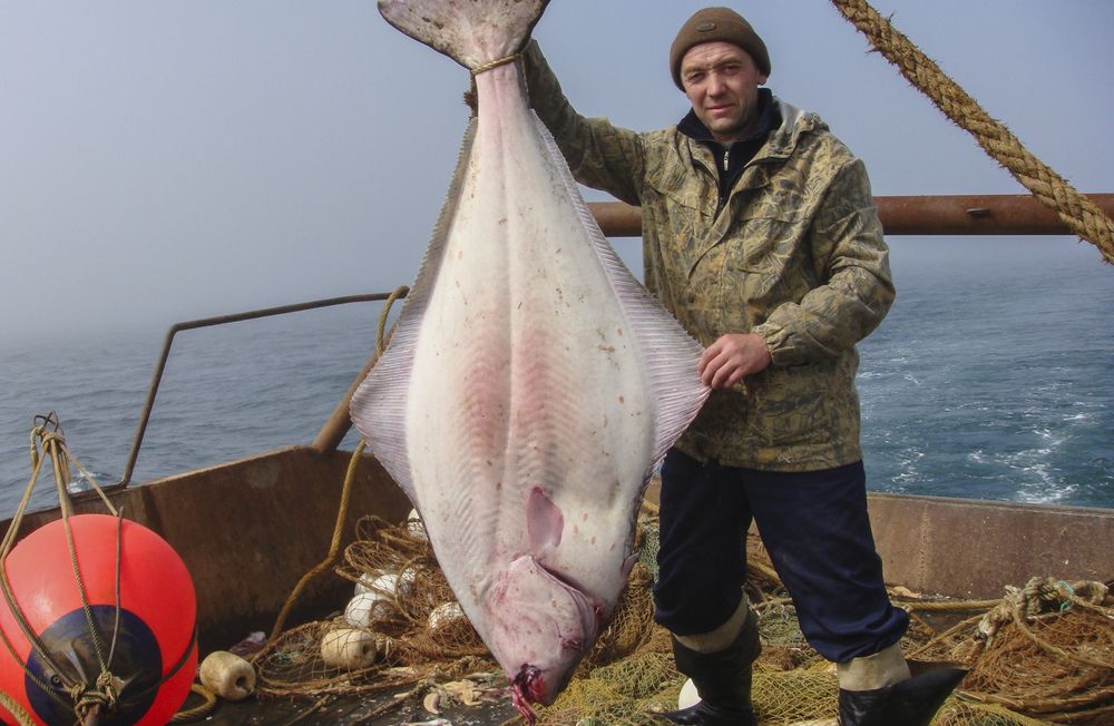 Photograph by Михаил Измайлов