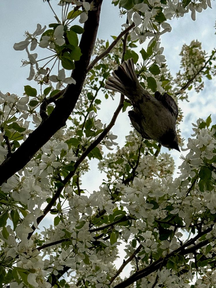 Photograph by Татьяна Цапкова