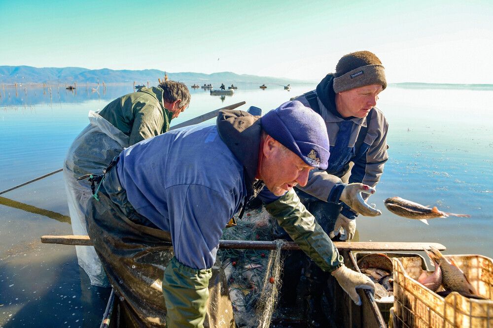 Fisherman on the Lake Dojran