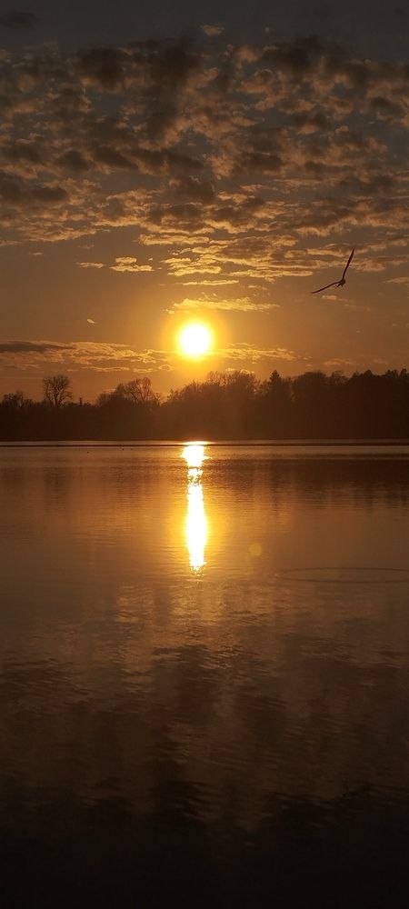 Photograph by Любовь Макарова