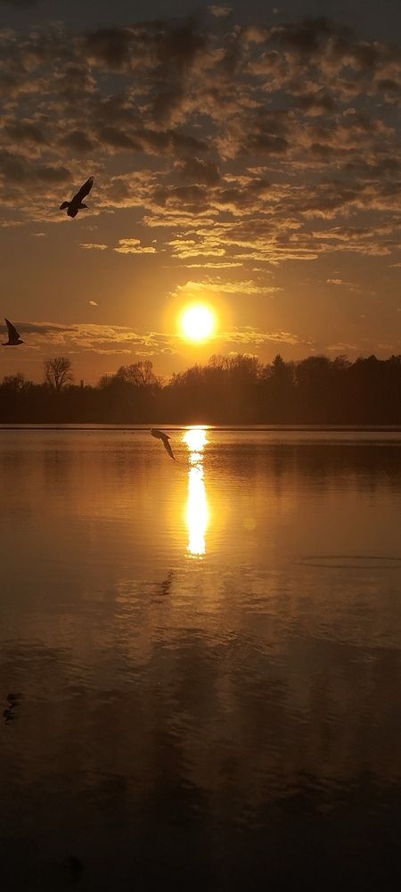 Photograph by Любовь Макарова