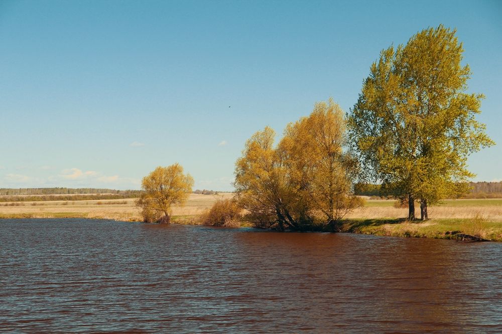 Photograph by Игорь Герасимов