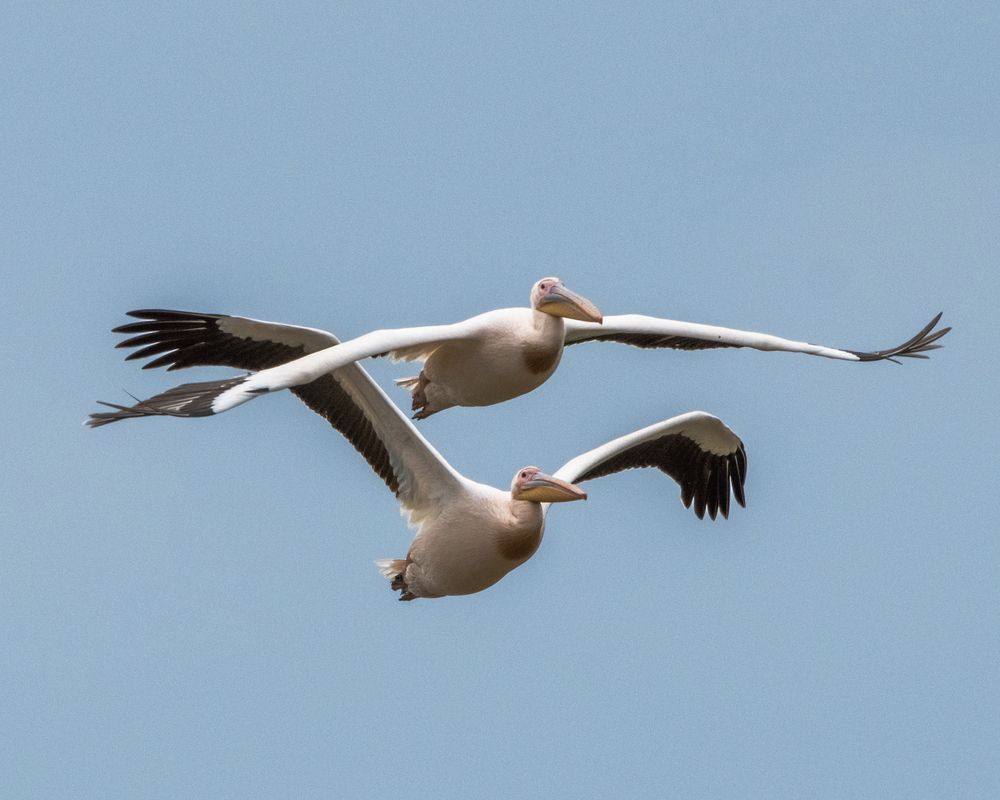 Photograph by Анна Стрелковская