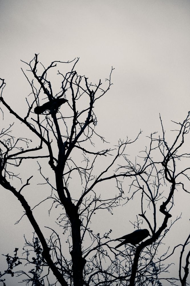 Photograph by Герасимов Игорь