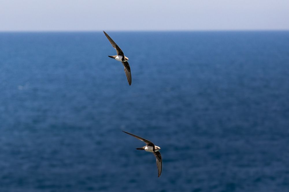 Photograph by Георгий