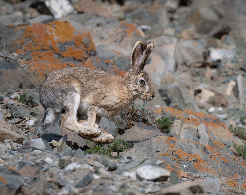 Photograph by Бушков Евгений