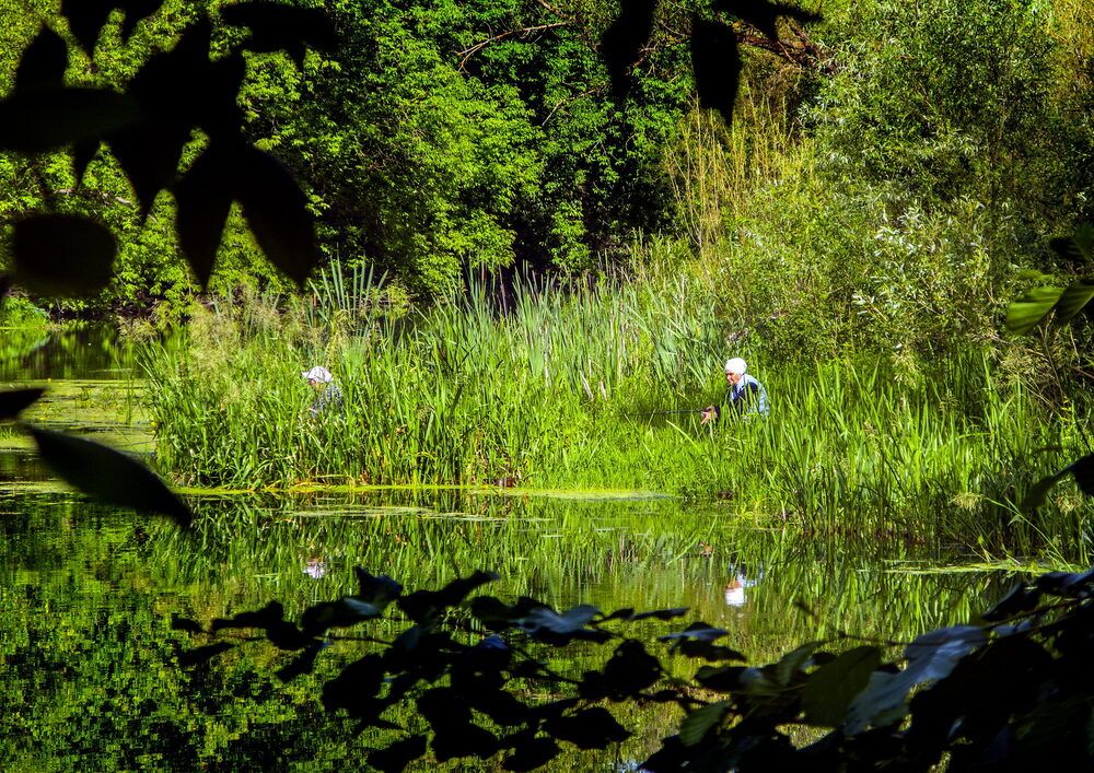 Бабульки-рыбачки
