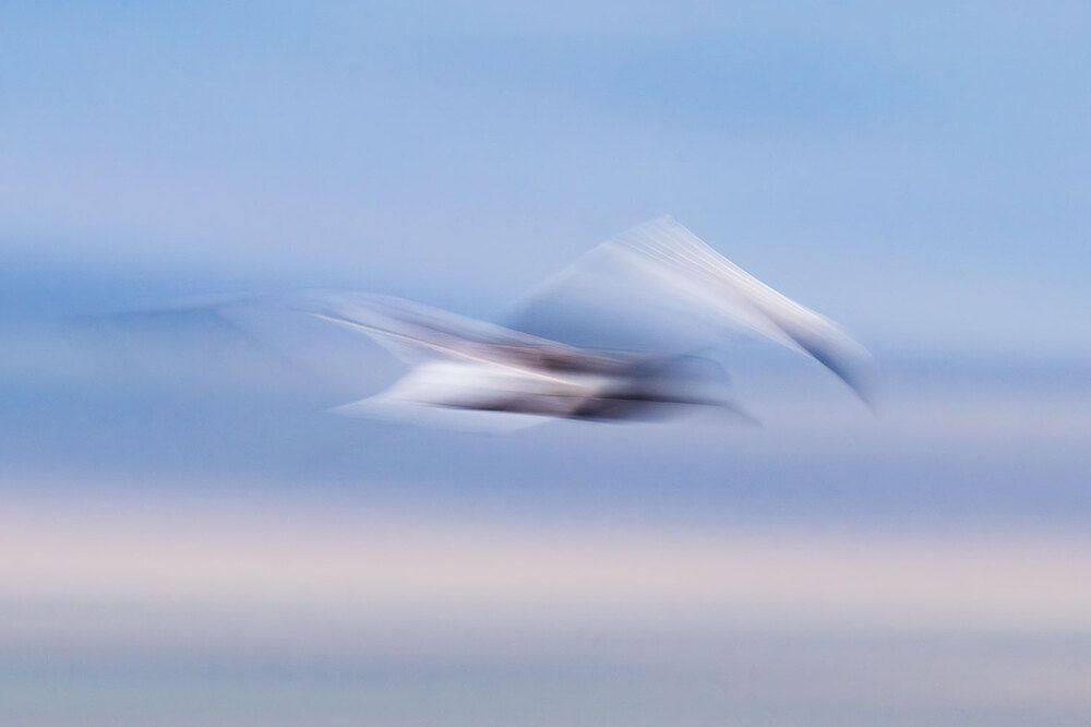 Photograph by Бушков Евгений