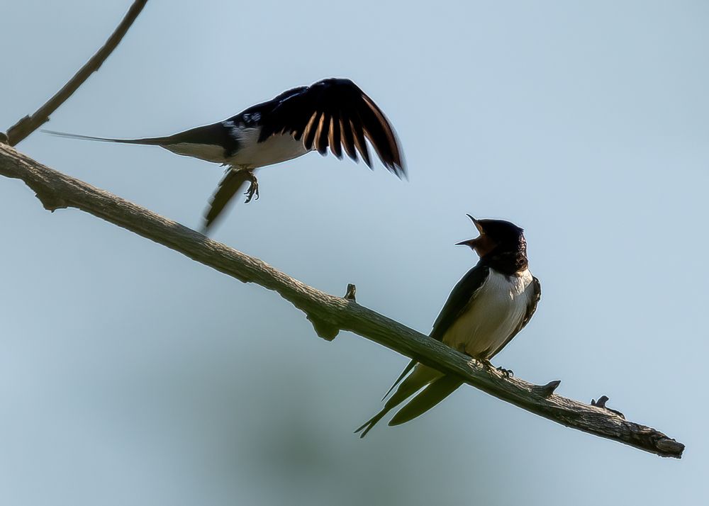 Photograph by Кузнецов Дмитрий