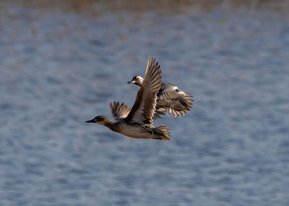 Photograph by Кузнецов Дмитрий