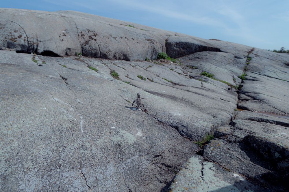 Photograph by Anatoliy Buyanov