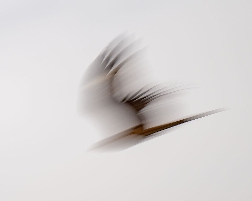 Photograph by Бушков Евгений