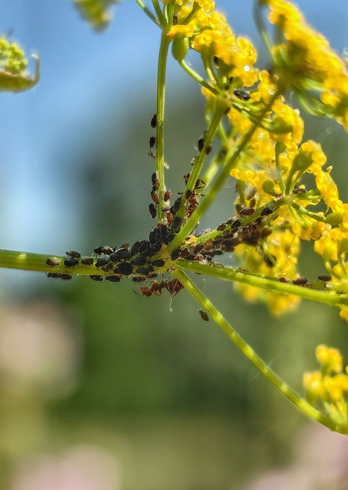 Photograph by Гульназ Шайхисламова