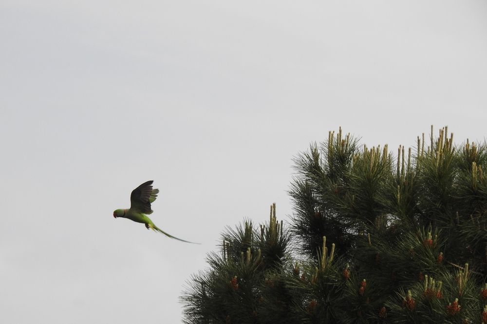 Photograph by fuat cimok