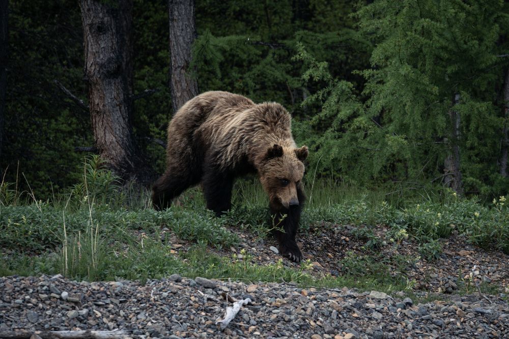 Photograph by Света Трифоненкова