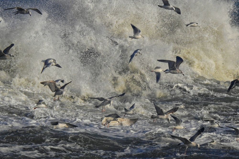 Photograph by fuat cimok