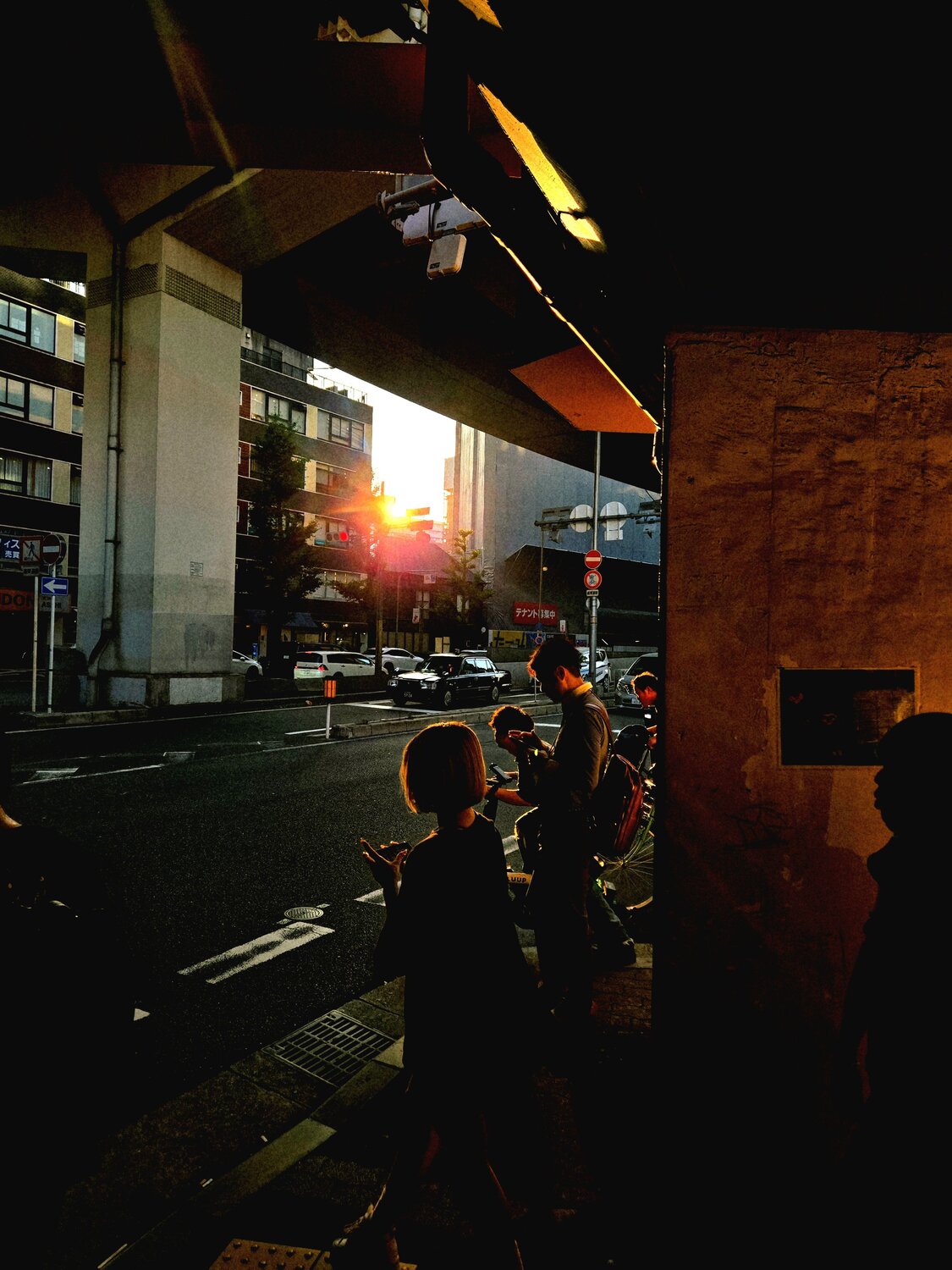 Along With Sunset
