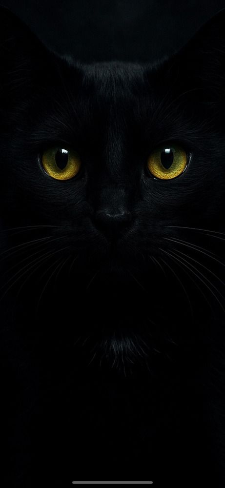 Фотография автора Jay Sharan