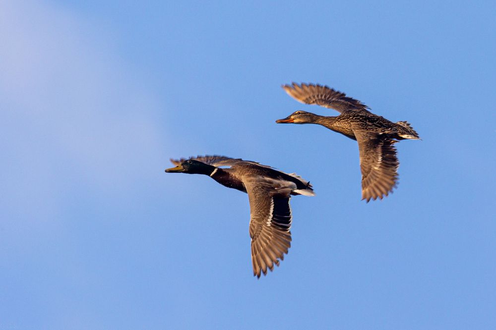 Photograph by Георгий