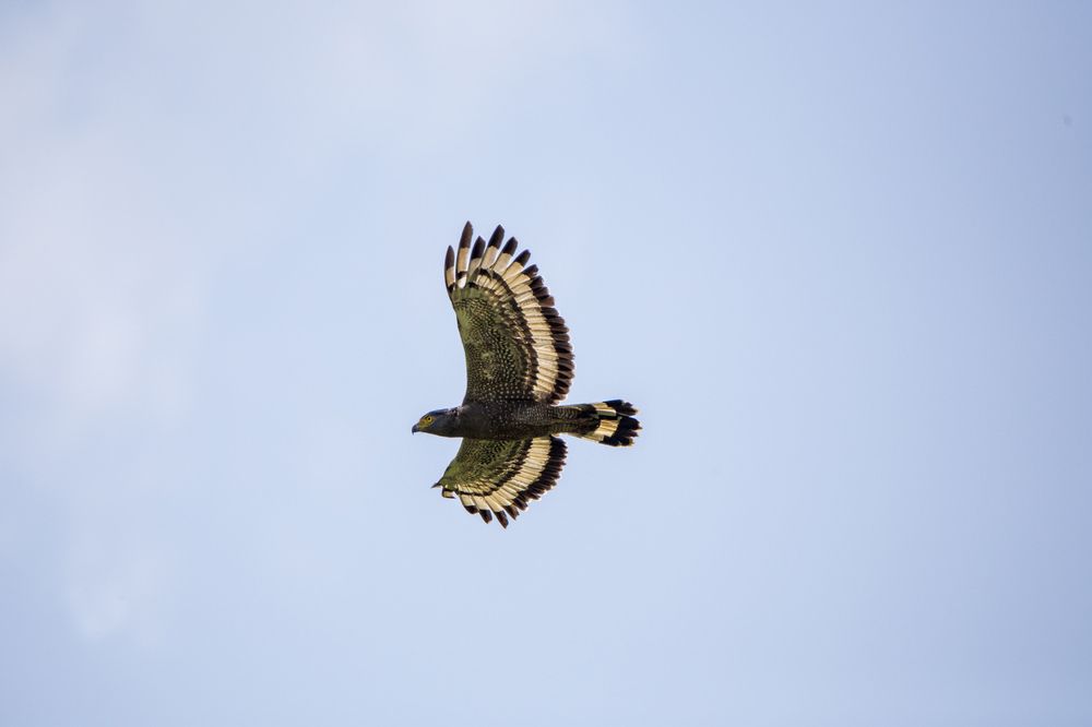 Photograph by Игорь Селин