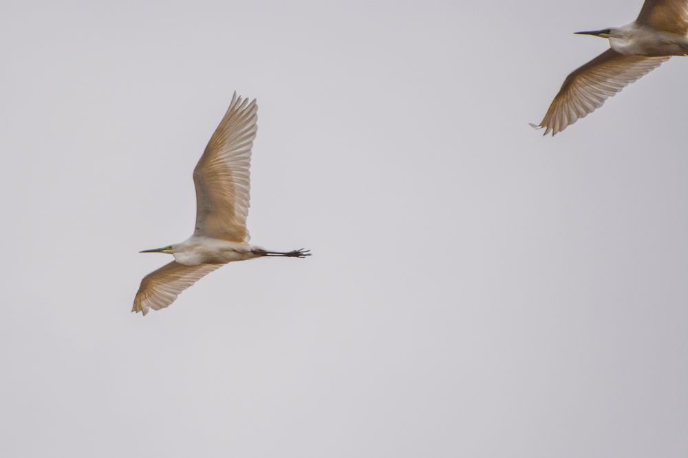 Photograph by Анастасия Гурова