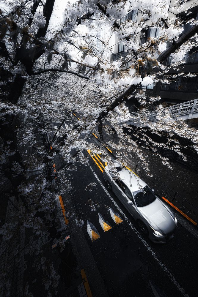 Фотография автора i_ ha__to