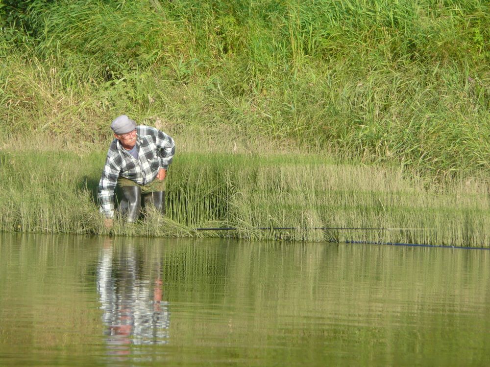 Photograph by Александр Бастраков