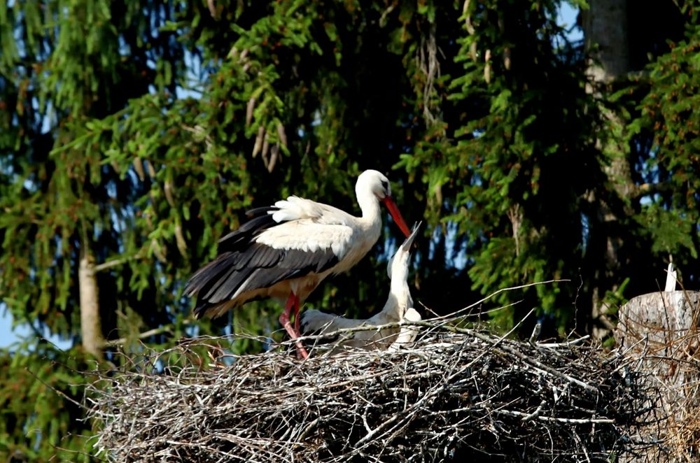 Photograph by Татьяна Слесарева