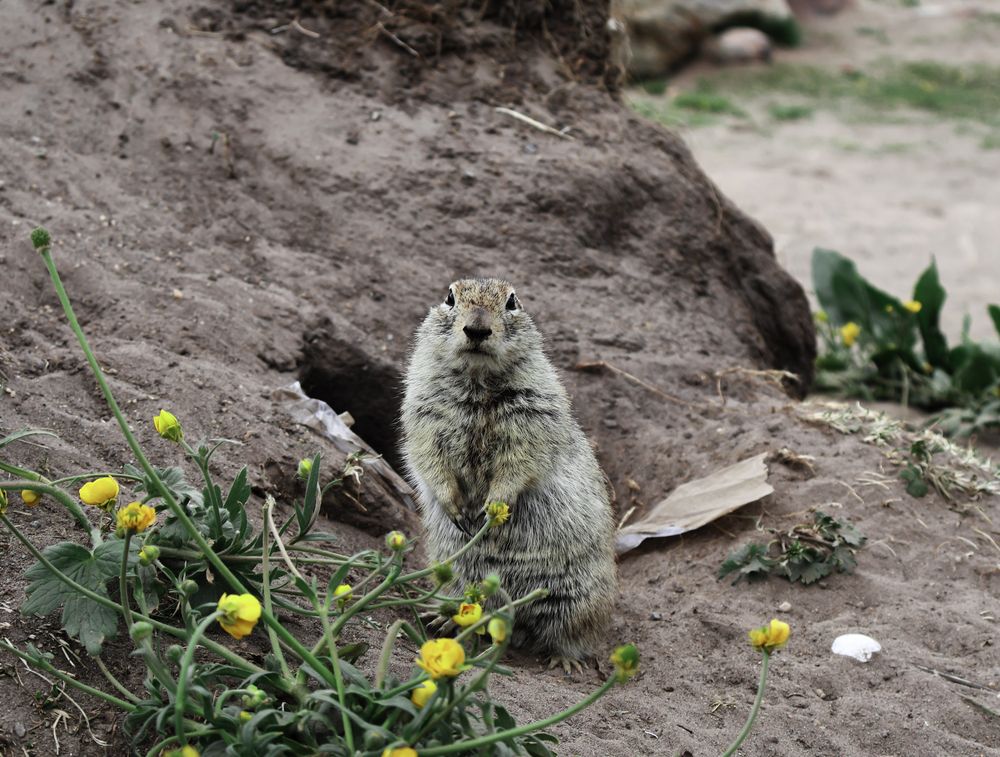 Photograph by Ольга Быкова