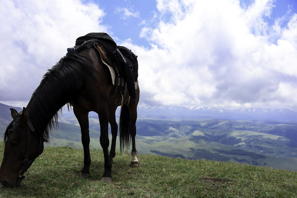 Photograph by Ольга Быкова