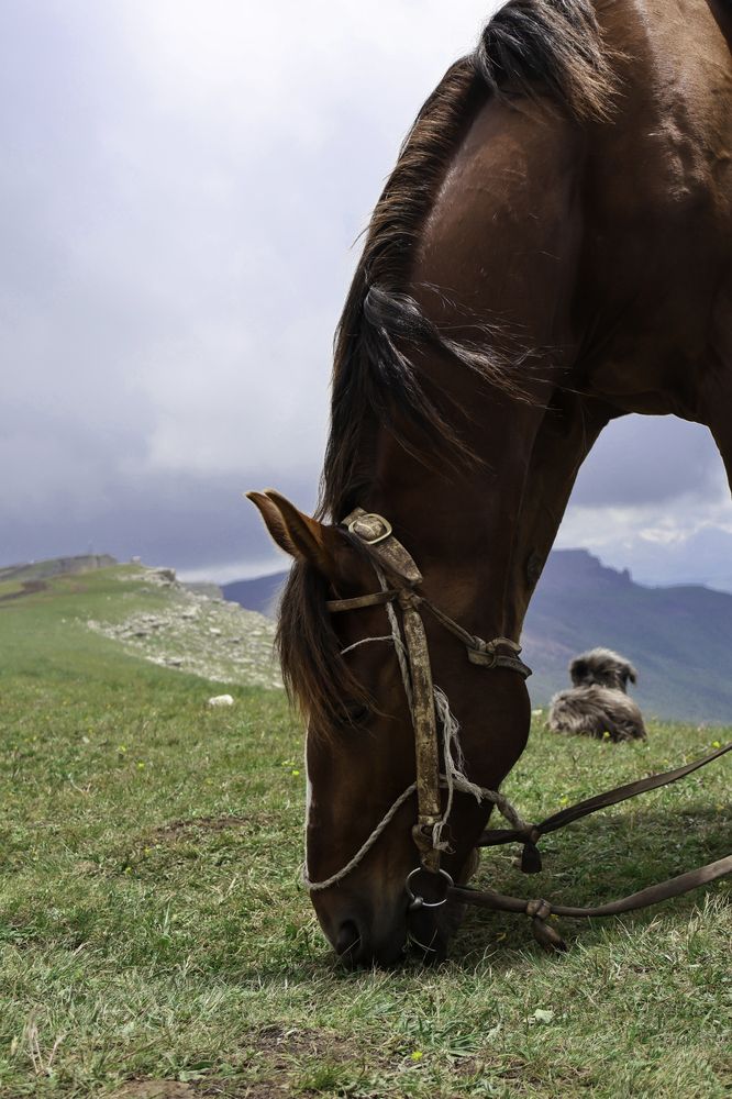 Photograph by Ольга Быкова