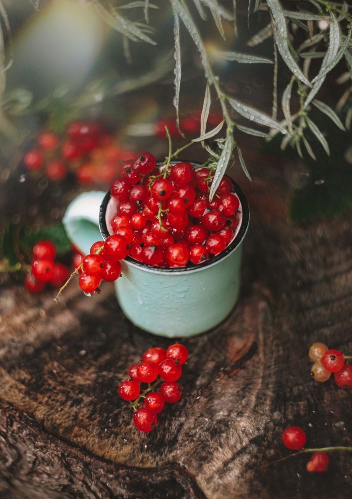 Photograph by Екатерина Колот