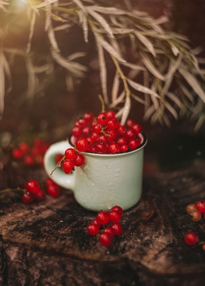 Photograph by Екатерина Колот