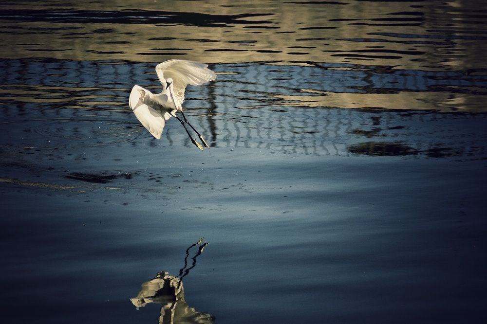 Photograph by fuat cimok