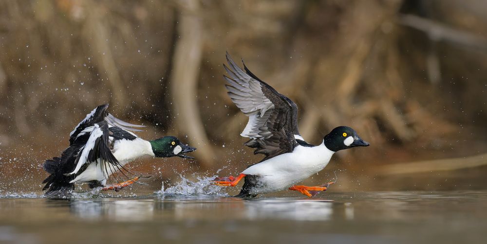 Photograph by Jørgen Hovde