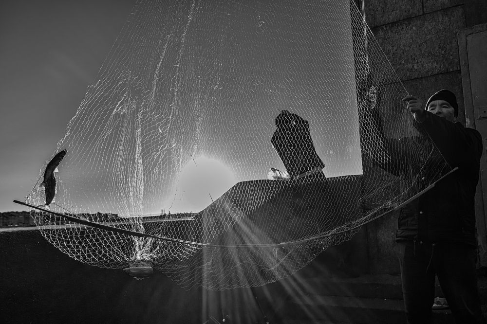 Photograph by Dimitri Bakhtadze