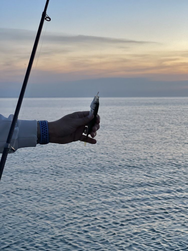 Photograph by Мария Ковригина