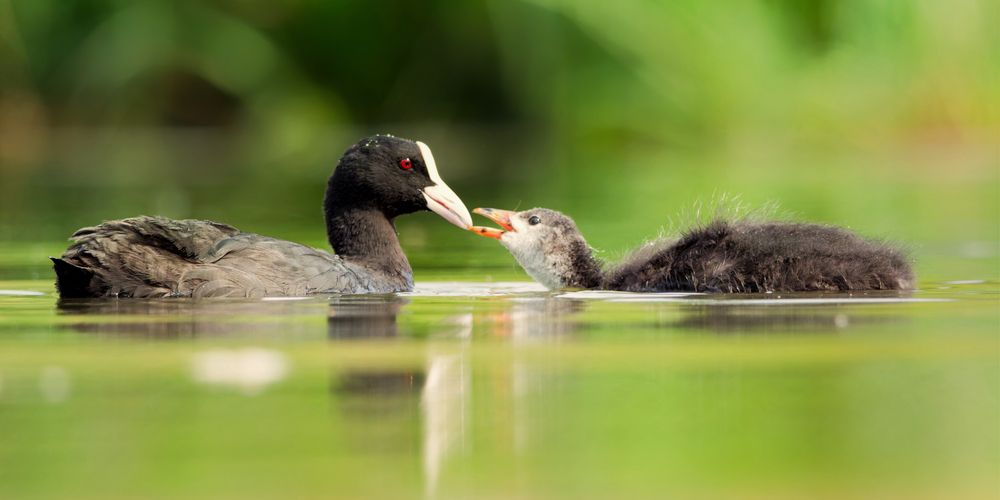 Photograph by Jørgen Hovde