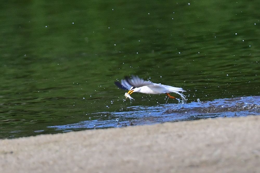 Photograph by Николай Абакумов