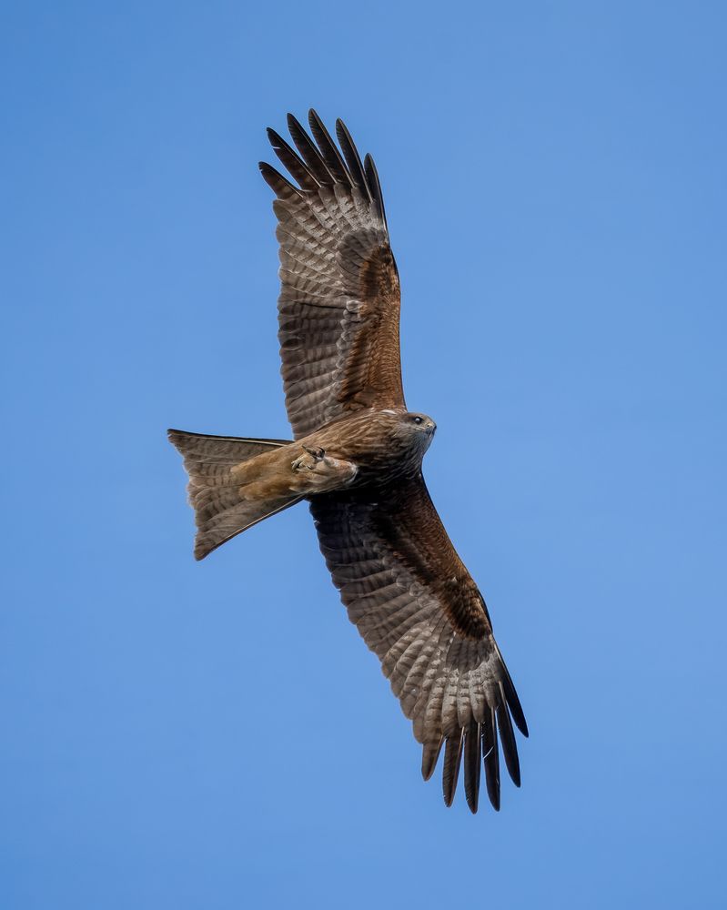 Photograph by Екатерина Дубровская