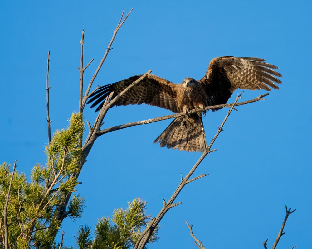 Photograph by Екатерина Дубровская