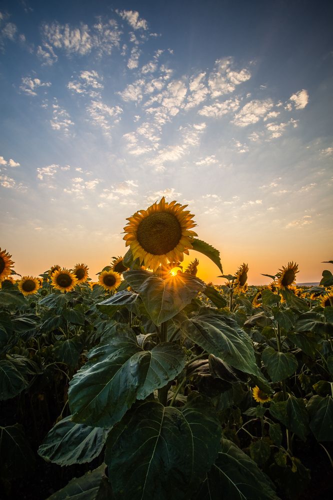 Photograph by Филипп Бабенко